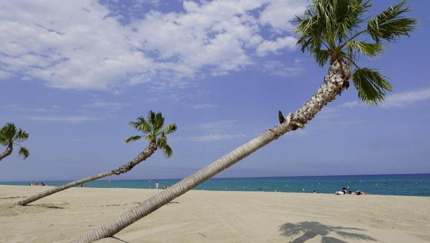 Le Barcarès Maison Plein Pied Proximite Plage Et Commerce - 5Sir33ヴィラ エクステリア 写真